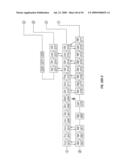 Antibodies that specifically bind hedgehog-derived polypeptides diagram and image