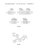 Antibodies that specifically bind hedgehog-derived polypeptides diagram and image