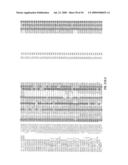 Antibodies that specifically bind hedgehog-derived polypeptides diagram and image