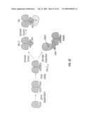 Antibodies that specifically bind hedgehog-derived polypeptides diagram and image