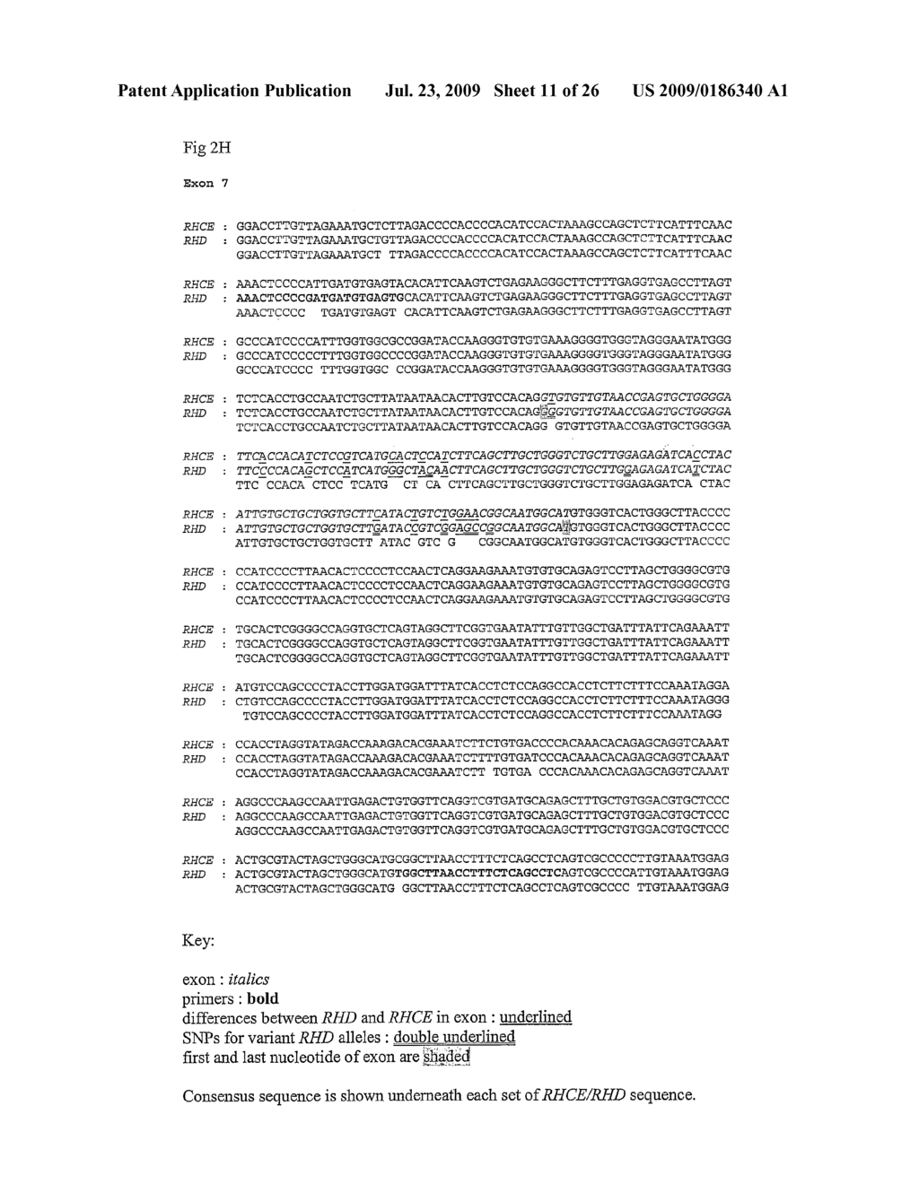 Gene Analysis - diagram, schematic, and image 12