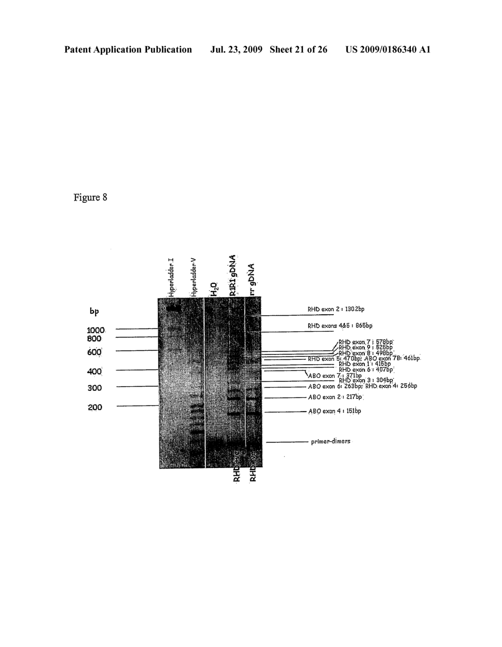 Gene Analysis - diagram, schematic, and image 22