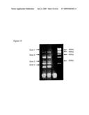 Gene Analysis diagram and image