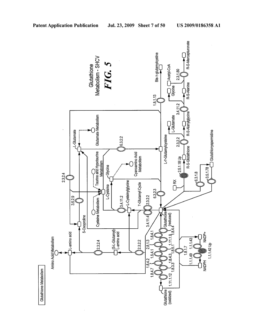 Pathway Analysis of Cell Culture Phenotypes and Uses Thereof - diagram, schematic, and image 08