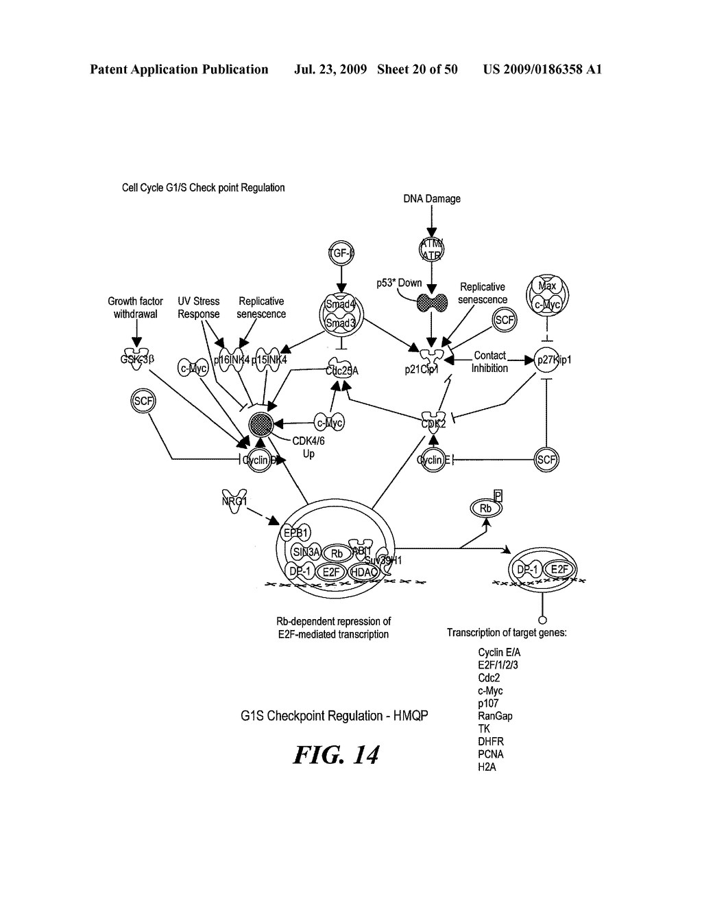 Pathway Analysis of Cell Culture Phenotypes and Uses Thereof - diagram, schematic, and image 21