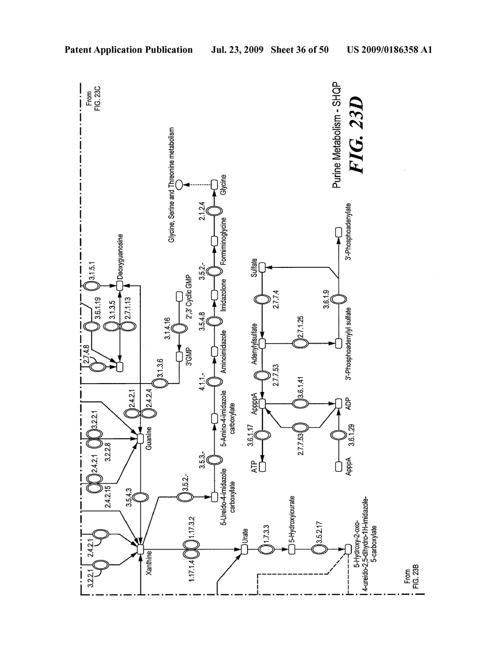 Pathway Analysis of Cell Culture Phenotypes and Uses Thereof - diagram, schematic, and image 37