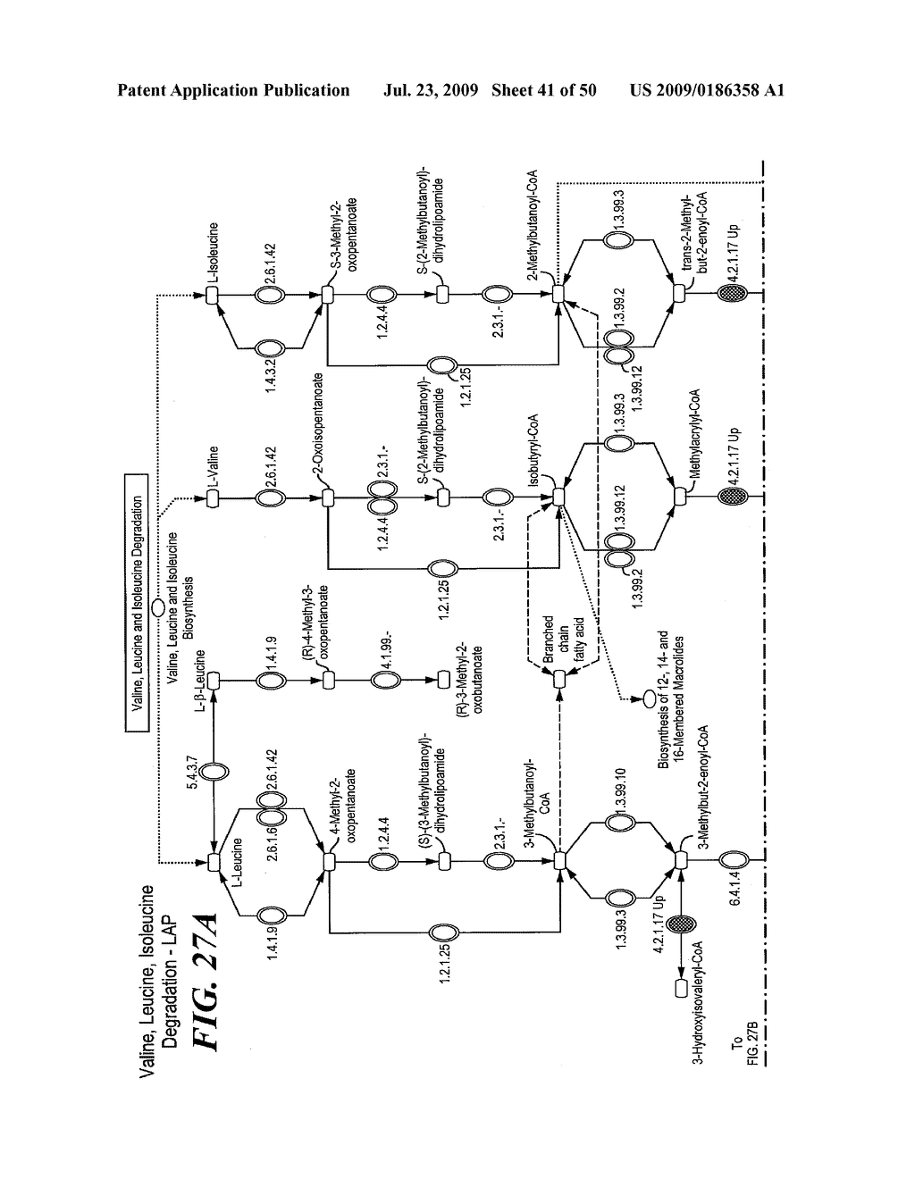 Pathway Analysis of Cell Culture Phenotypes and Uses Thereof - diagram, schematic, and image 42