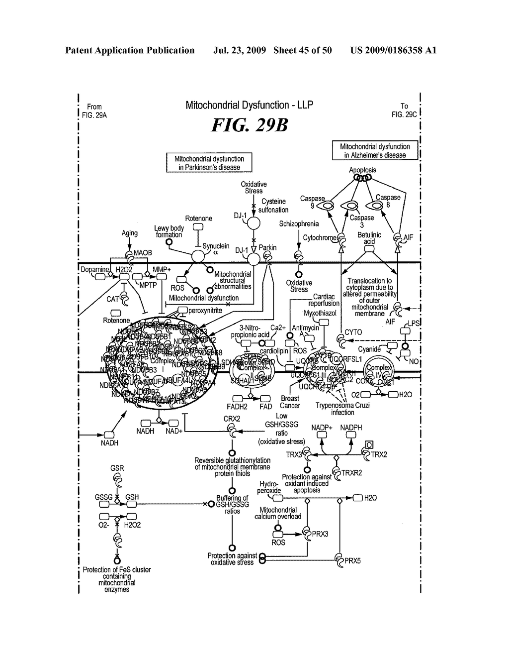 Pathway Analysis of Cell Culture Phenotypes and Uses Thereof - diagram, schematic, and image 46