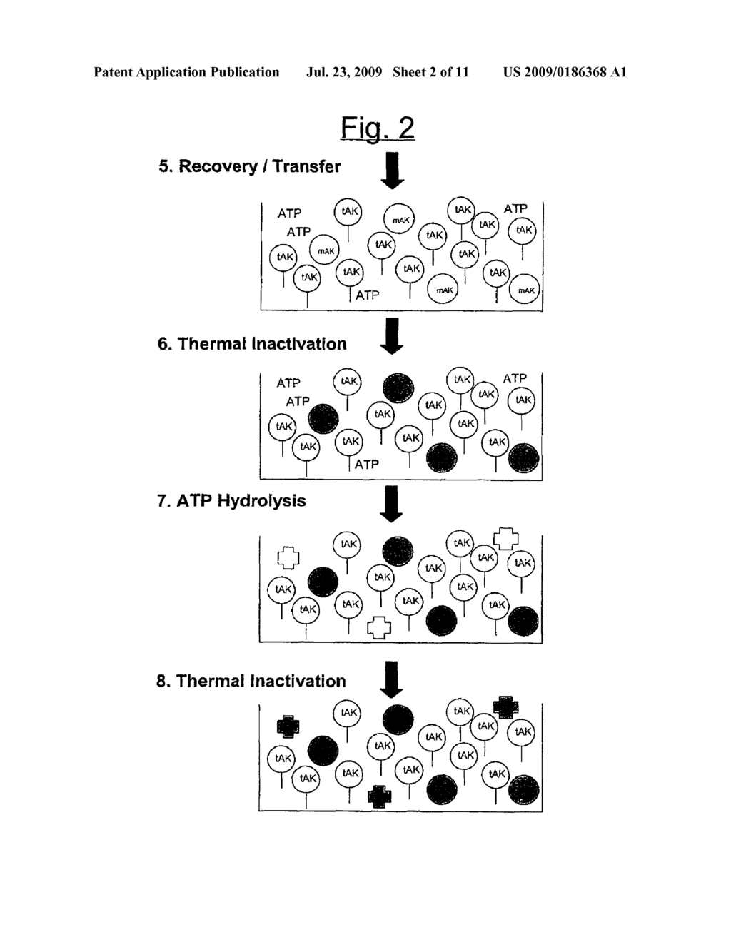 Assay with reduced background - diagram, schematic, and image 03