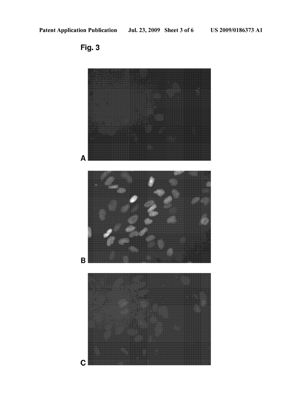 Pyrimidines reacting with O6-Alkylguanine-DNA alkyltransferase - diagram, schematic, and image 04