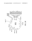 RECOMBINATIONAL CLONING USING ENGINEERED RECOMBINATION SITES diagram and image