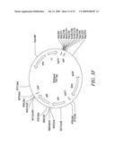 RECOMBINATIONAL CLONING USING ENGINEERED RECOMBINATION SITES diagram and image