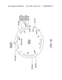 RECOMBINATIONAL CLONING USING ENGINEERED RECOMBINATION SITES diagram and image