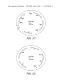 RECOMBINATIONAL CLONING USING ENGINEERED RECOMBINATION SITES diagram and image