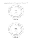 RECOMBINATIONAL CLONING USING ENGINEERED RECOMBINATION SITES diagram and image