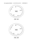 RECOMBINATIONAL CLONING USING ENGINEERED RECOMBINATION SITES diagram and image