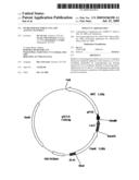 Increased Bacterial CoA and Acetyl-CoA Pools diagram and image