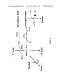 Increased Bacterial CoA and Acetyl-CoA Pools diagram and image