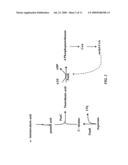 Increased Bacterial CoA and Acetyl-CoA Pools diagram and image