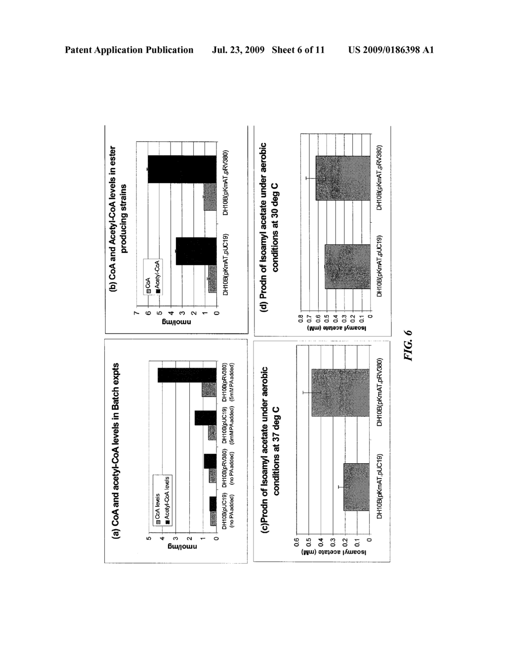 Increased Bacterial CoA and Acetyl-CoA Pools - diagram, schematic, and image 07