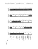 Detection instrument with the use of polynucleotides mapped on barley chromosome diagram and image