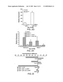 Methods of Generating Cardiomyocytes and Cardiac Progenitors and Compositions diagram and image