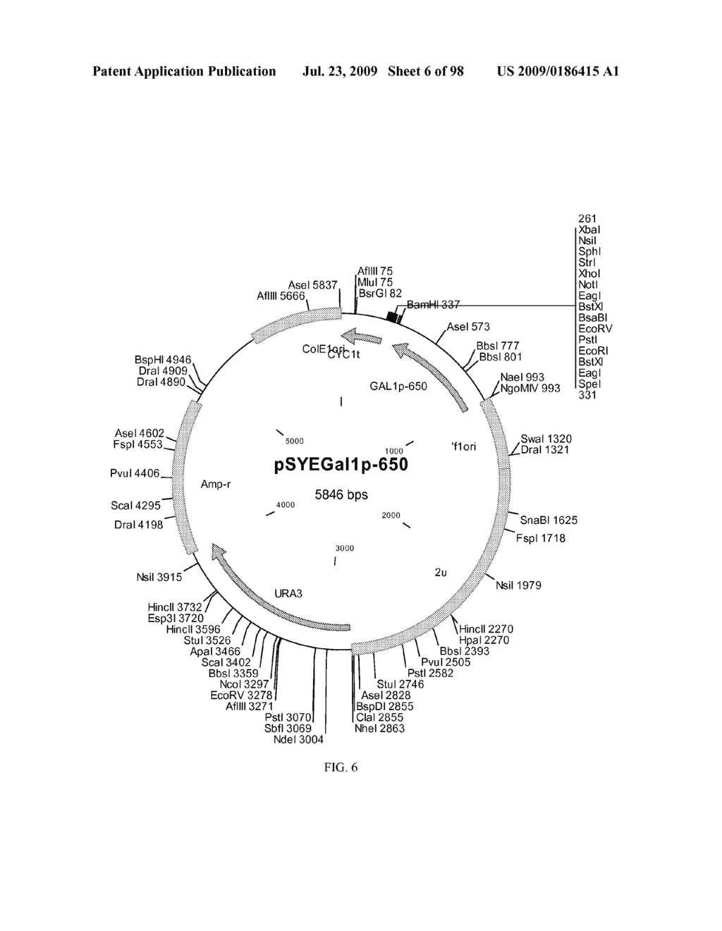 METHOD FOR PRODUCTION OF CYTOCHROME P450 WITH N-TERMINAL TRUNCATED P450 REDUCTASE - diagram, schematic, and image 07