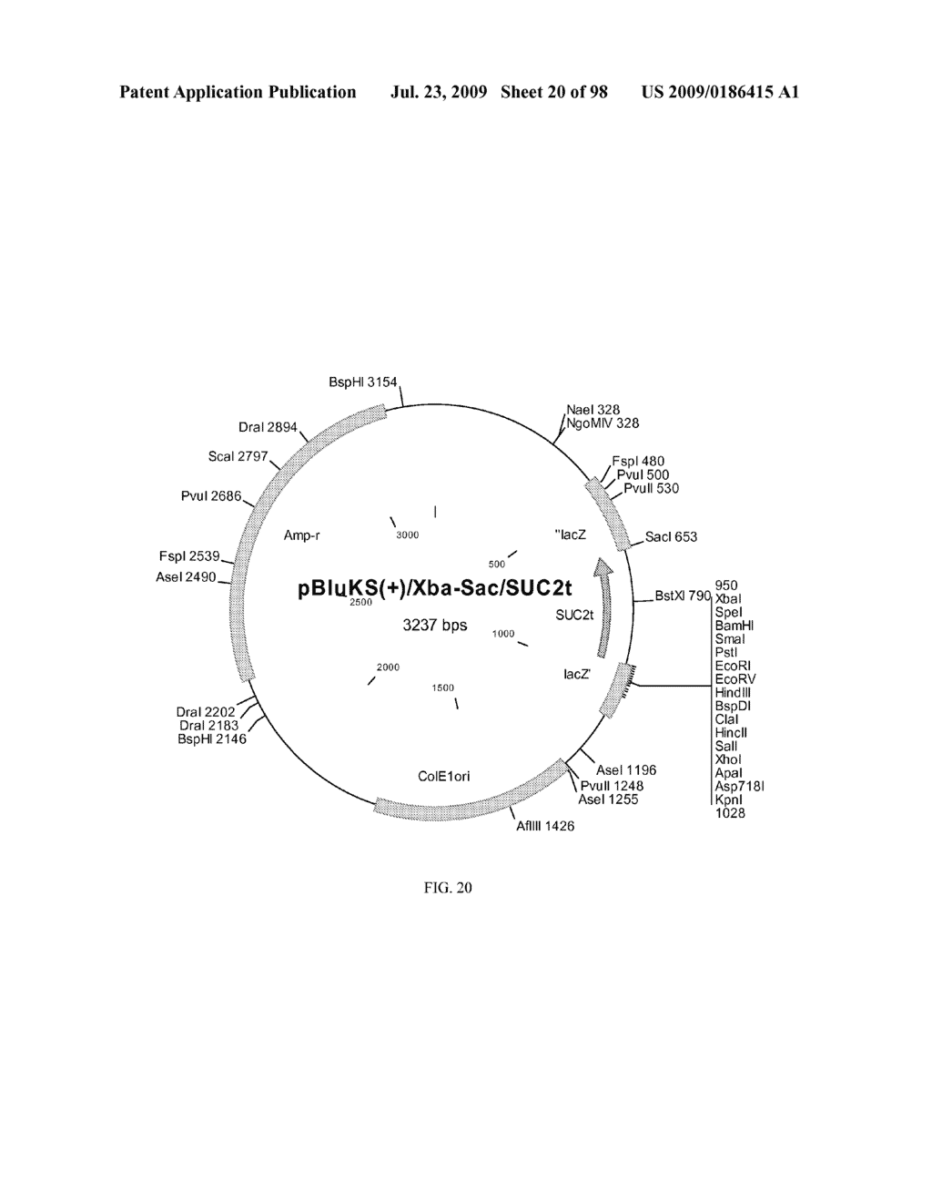 METHOD FOR PRODUCTION OF CYTOCHROME P450 WITH N-TERMINAL TRUNCATED P450 REDUCTASE - diagram, schematic, and image 21