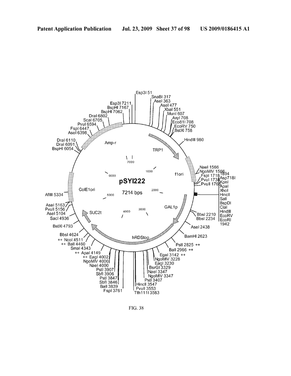 METHOD FOR PRODUCTION OF CYTOCHROME P450 WITH N-TERMINAL TRUNCATED P450 REDUCTASE - diagram, schematic, and image 38