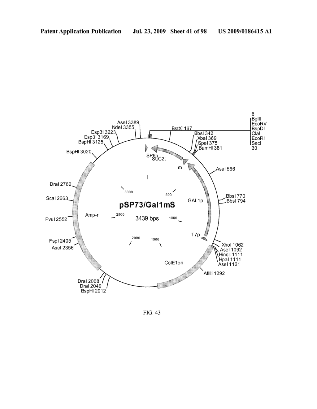 METHOD FOR PRODUCTION OF CYTOCHROME P450 WITH N-TERMINAL TRUNCATED P450 REDUCTASE - diagram, schematic, and image 42