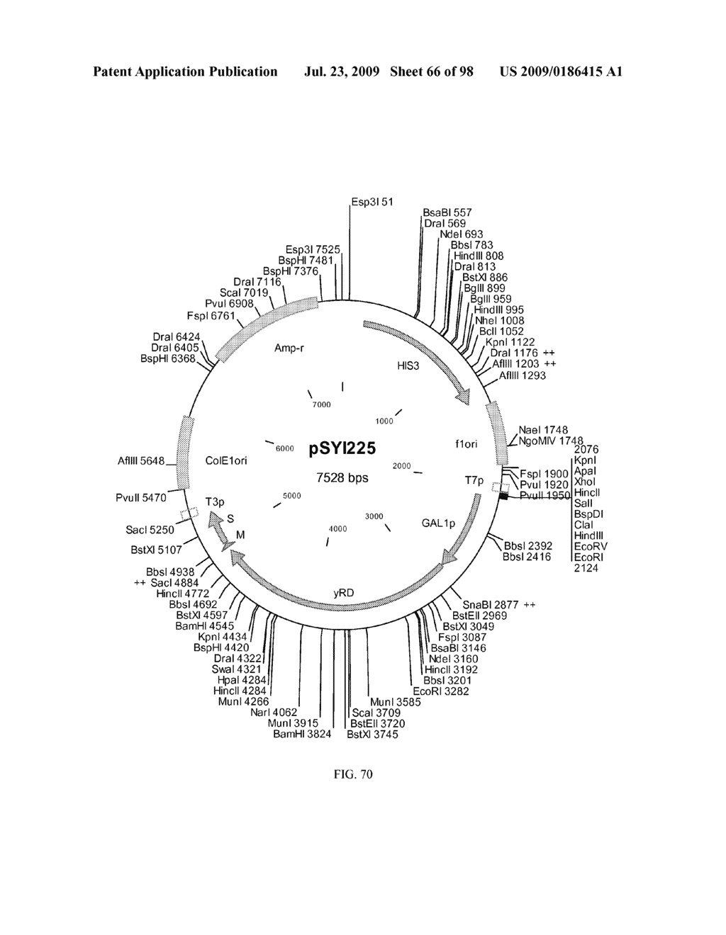 METHOD FOR PRODUCTION OF CYTOCHROME P450 WITH N-TERMINAL TRUNCATED P450 REDUCTASE - diagram, schematic, and image 67