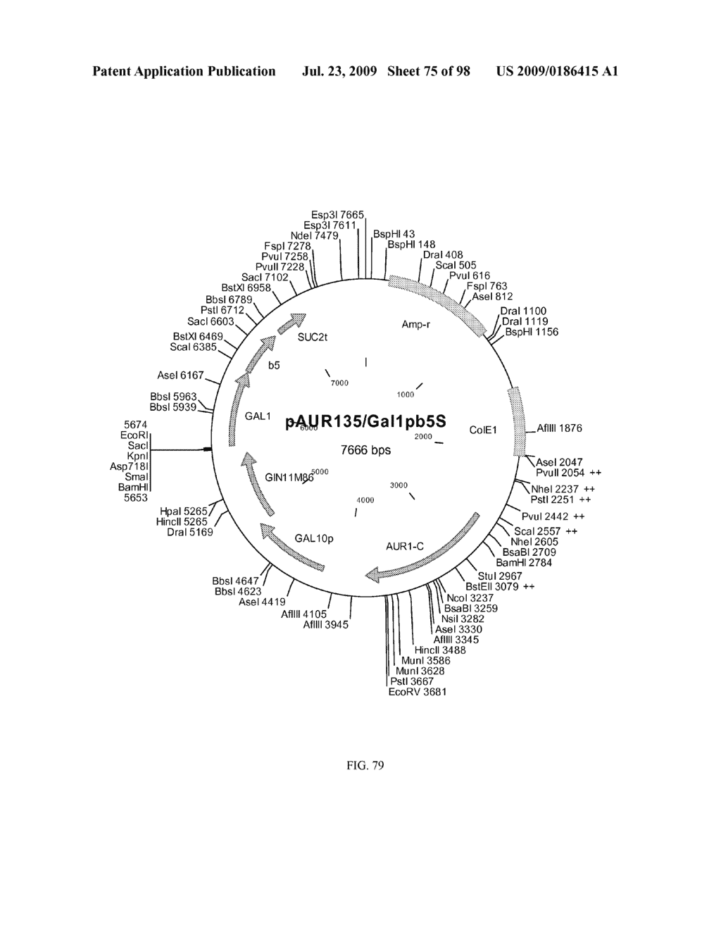 METHOD FOR PRODUCTION OF CYTOCHROME P450 WITH N-TERMINAL TRUNCATED P450 REDUCTASE - diagram, schematic, and image 76