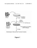 Methods of Inhibiting Tumor Cell Aggressiveness Using The Microenvironment of Human Embryonic Stem Cells diagram and image