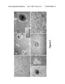 Methods of Inhibiting Tumor Cell Aggressiveness Using The Microenvironment of Human Embryonic Stem Cells diagram and image