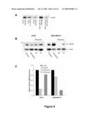 Methods of Inhibiting Tumor Cell Aggressiveness Using The Microenvironment of Human Embryonic Stem Cells diagram and image