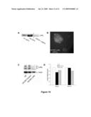 Methods of Inhibiting Tumor Cell Aggressiveness Using The Microenvironment of Human Embryonic Stem Cells diagram and image