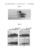 ANTICOAGULANT AND COMPOSITION FOR PREVENTING THROMBUS CONTAINING POLY-GAMMA-GLUTAMIC ACID diagram and image