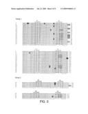 POLYPEPTIDE TARGETING TO MITOCHONDRIA diagram and image