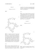 MACROCYCLES AND THEIR USES diagram and image