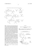 AMINO ACID PEPTIDE PRO-DRUGS OF PHENOLIC ANALGESICS AND USES THEREOF diagram and image