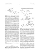 AMINO ACID PEPTIDE PRO-DRUGS OF PHENOLIC ANALGESICS AND USES THEREOF diagram and image