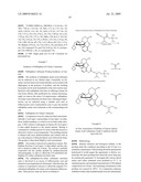 AMINO ACID PEPTIDE PRO-DRUGS OF PHENOLIC ANALGESICS AND USES THEREOF diagram and image