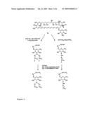 Amphotericin Derivatives diagram and image