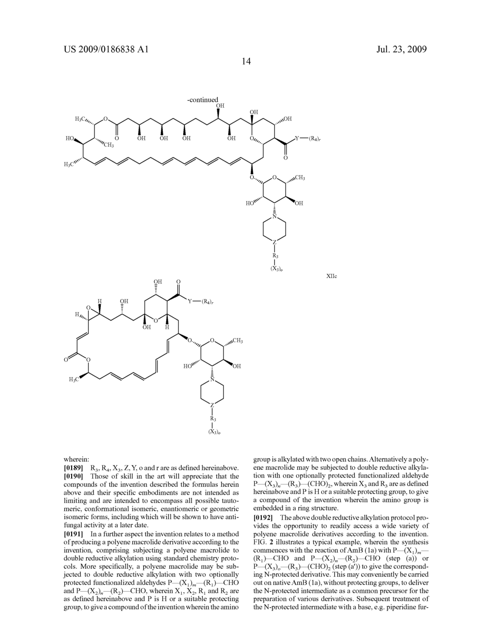 Amphotericin Derivatives - diagram, schematic, and image 21