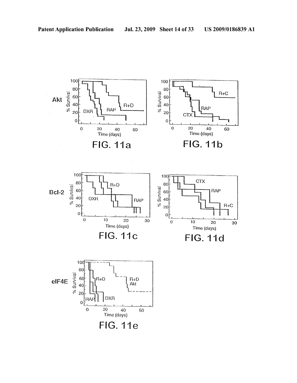 Model for studying the role of genes in chemoresistance - diagram, schematic, and image 15