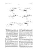 Novel aminoglycoside antibiotics diagram and image