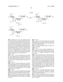 Novel aminoglycoside antibiotics diagram and image