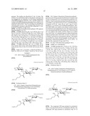 Novel aminoglycoside antibiotics diagram and image