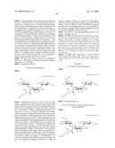 Novel aminoglycoside antibiotics diagram and image