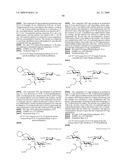 Novel aminoglycoside antibiotics diagram and image